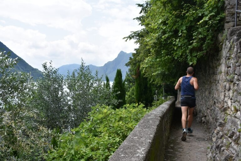 Olive Traill Gandria